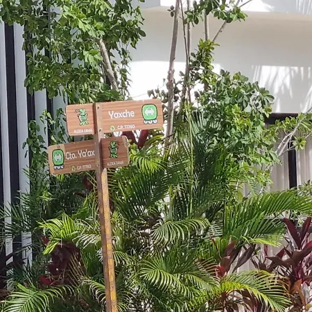 Apartment Umbral Estudio 305 Wifi Rapido Oasis En La Selva Tulum