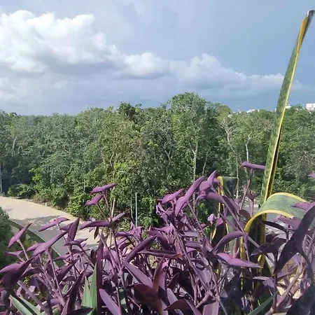 Umbral Estudio 305 Wifi Rapido Oasis En La Selva * Tulum