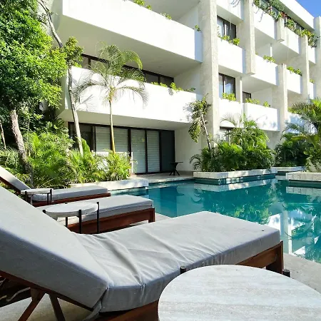 Apartment Omara *