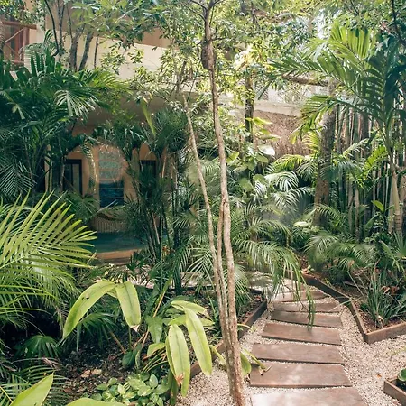 Orchid House Jungle Hotel Tulum