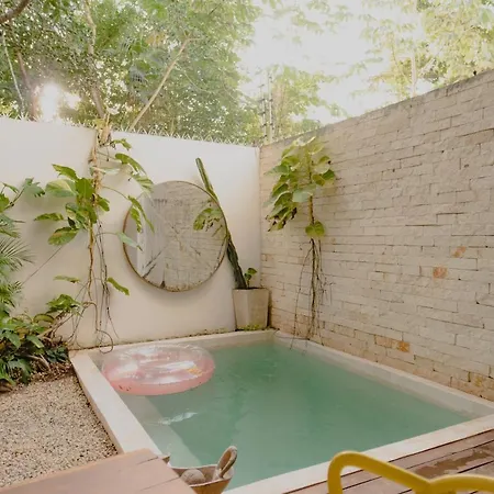 Ujo 100 Mb Wifi 2 Private Pools Tulum