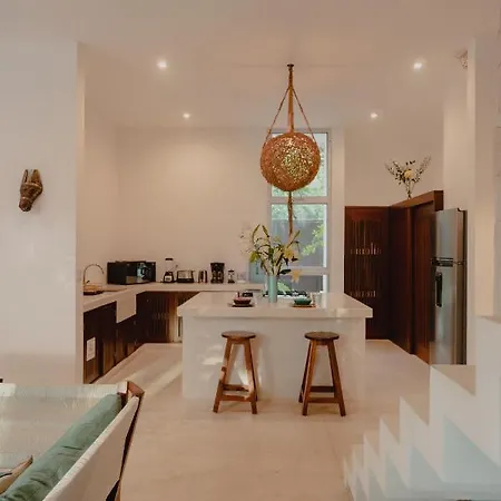 Villa Ujo 100 Mb Wifi 2 Private Pools Tulum