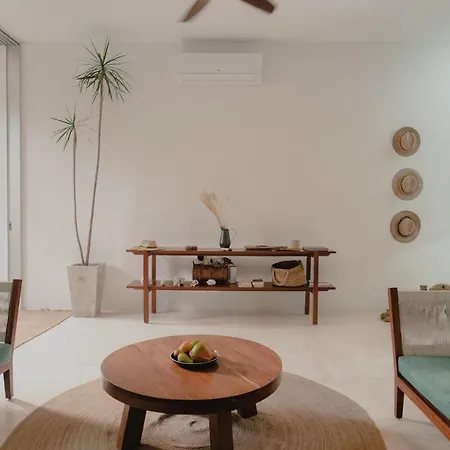 Ujo 100 Mb Wifi 2 Private Pools * Tulum