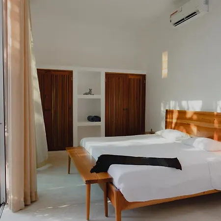 Ujo 100 Mb Wifi 2 Private Pools Tulum