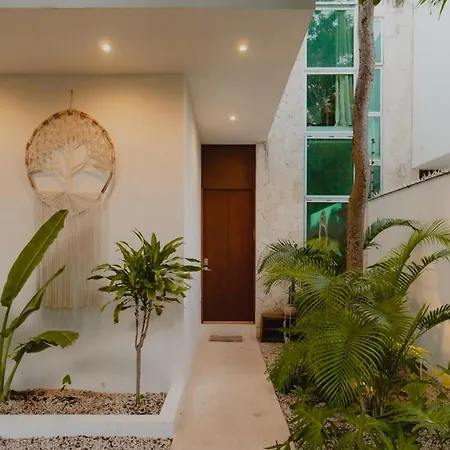 Ujo 100 Mb Wifi 2 Private Pools Tulum