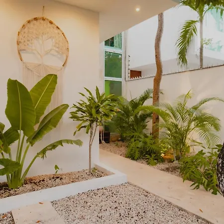Ujo 100 Mb Wifi 2 Private Pools Villa Tulum