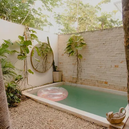 Villa Ujo 100 Mb Wifi 2 Private Pools Tulum