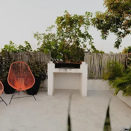 Ujo 100 Mb Wifi 2 Private Pools Tulum