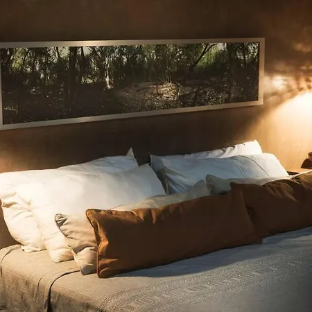Holiday home Ojo De Agua. Design+pool. Vive La Autentica Selva! *