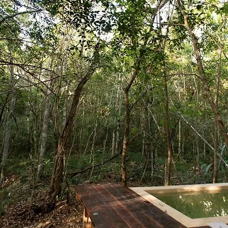 Ojo De Agua. Design+pool. Vive La Autentica Selva! Tulum