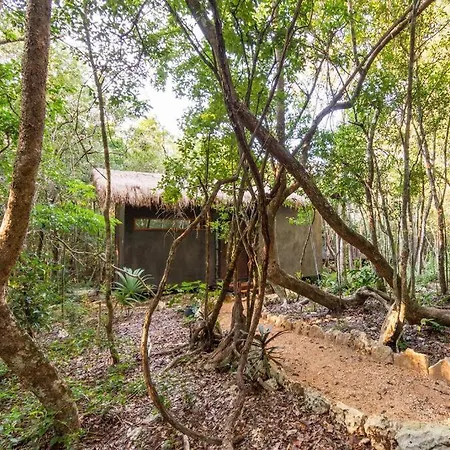Ojo De Agua. Design+pool. Vive La Autentica Selva! Tulum