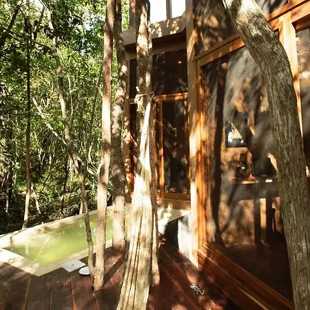 Ojo De Agua. Design+pool. Vive La Autentica Selva! Tulum
