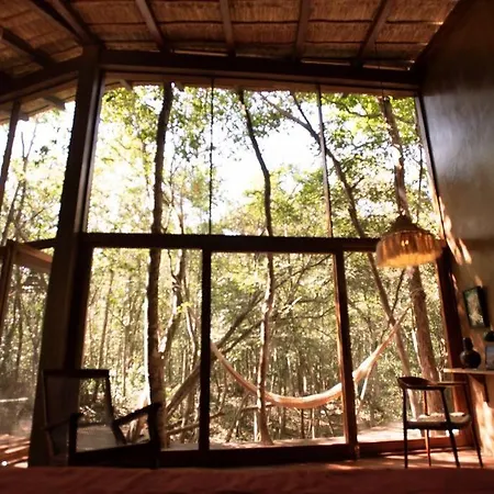 Ojo De Agua. Design+pool. Vive La Autentica Selva! Tulum
