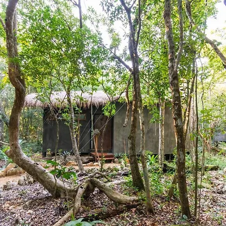 Ojo De Agua. Design+pool. Vive La Autentica Selva! Tulum
