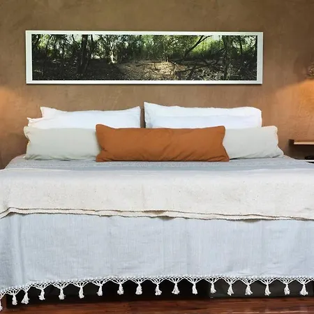 Holiday home Ojo De Agua. Design+pool. Vive La Autentica Selva!