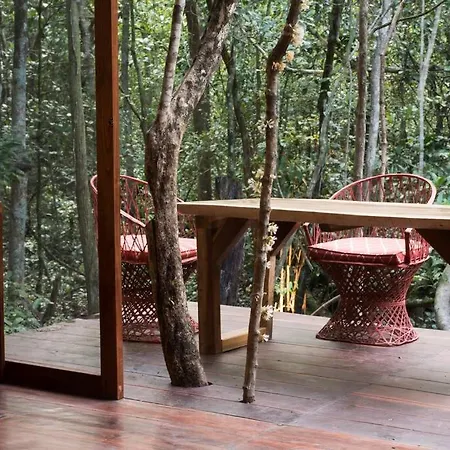 Ojo De Agua. Design+pool. Vive La Autentica Selva! Holiday home *