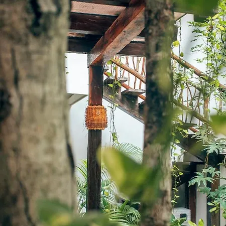 Orchid House Jungle