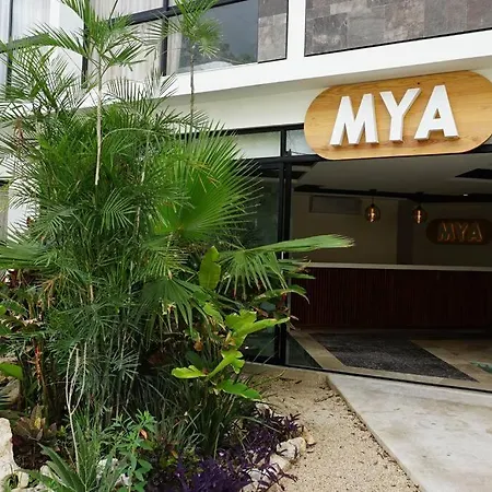 Mya Studio W/private Pool Super *