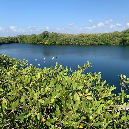 Casa Borush Glamping Fruit & Cenote Experience