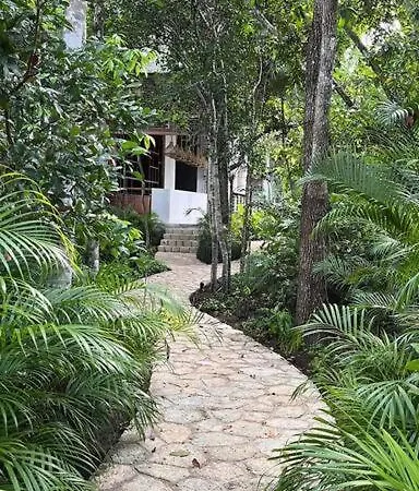 Apartamento De Lujo Con Cenote Natural Infinity Pool Gym Apartment Tulum