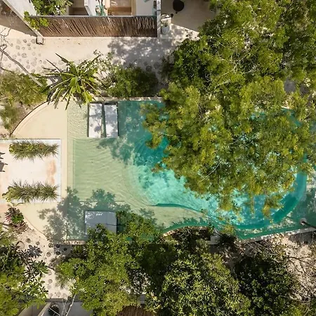 Apartment Palalma Nestled In The Jungle Tulum