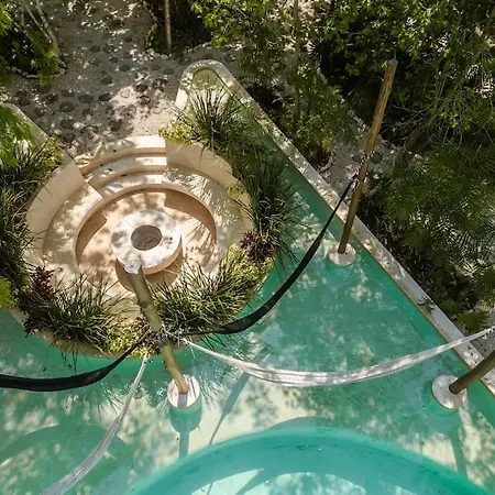 Palalma Nestled In The Jungle Tulum