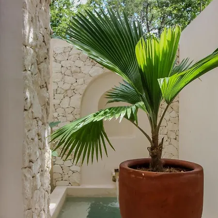 Bohemian Luxury Townhouse With Private Pool In La Veleta Tulum