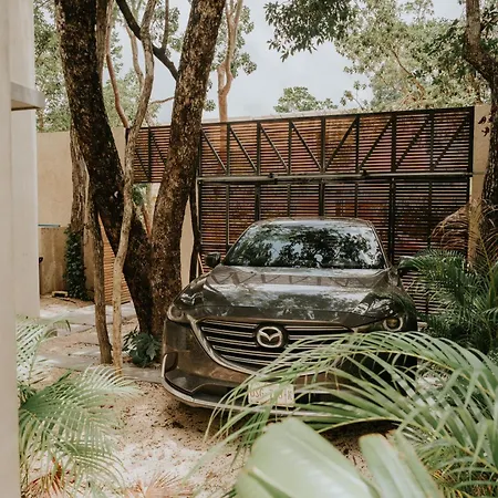 Villa Casa Estrella De Mar Luxury New Jungle House Tulum
