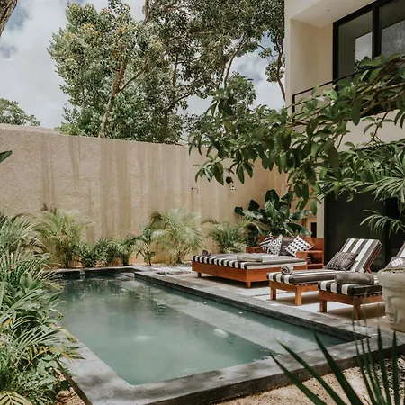 Casa Estrella De Mar Luxury New Jungle House Villa