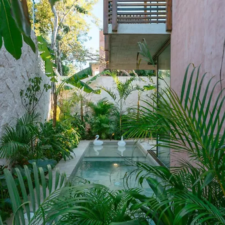 Entorno - Luxury Villa *