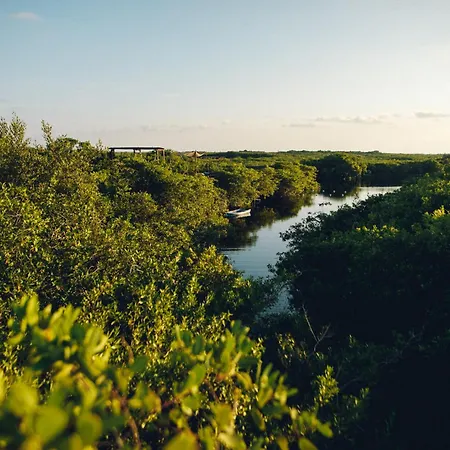 Uman Glamping & Cenote Luxury tent
