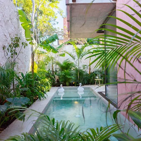 Villa Entorno - Luxury Tulum