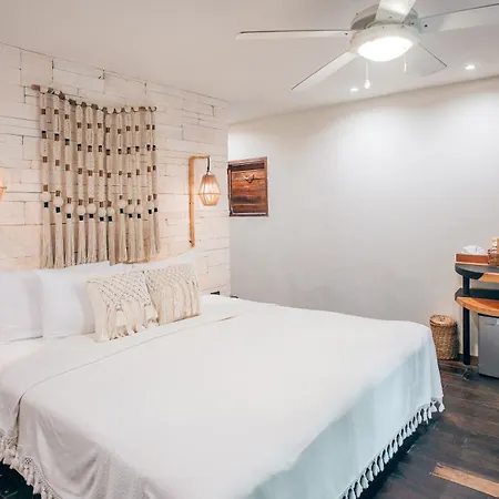 Orchid House (adults Only) Hotel