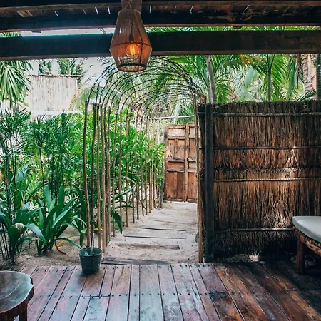 Hotel Orchid House (adults Only)