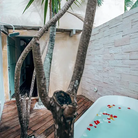 Orchid House (adults Only) 4*