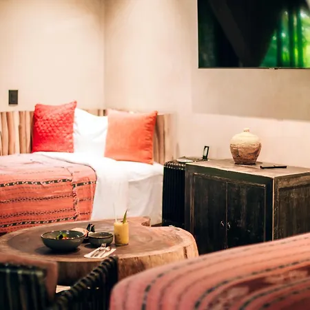 Hotel Orchid House Jungle 5*
