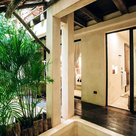 Orchid House Jungle Hotel 5*