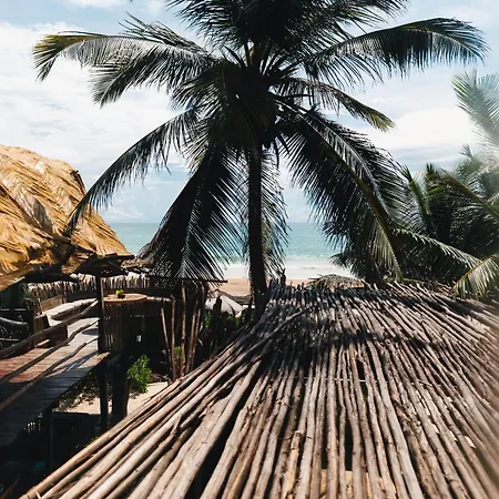 Orchid House (adults Only) 4* Tulum