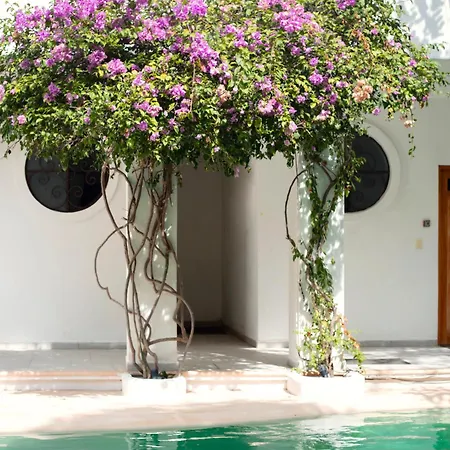 Apartment Sonido Del Mar Boutique & Yoga Loft *
