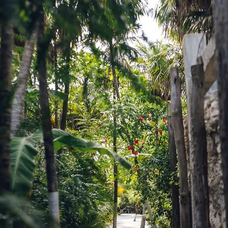 Uman Glamping & Cenote *