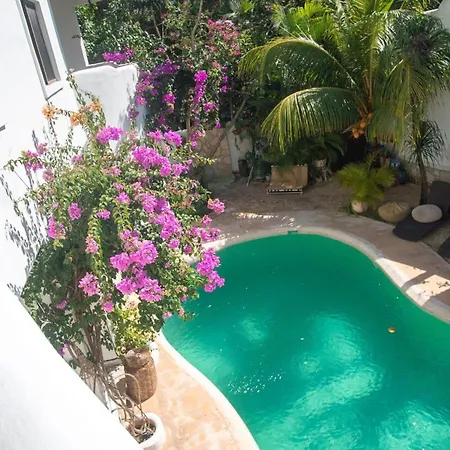 Sonido Del Mar Boutique & Yoga Loft Apartment