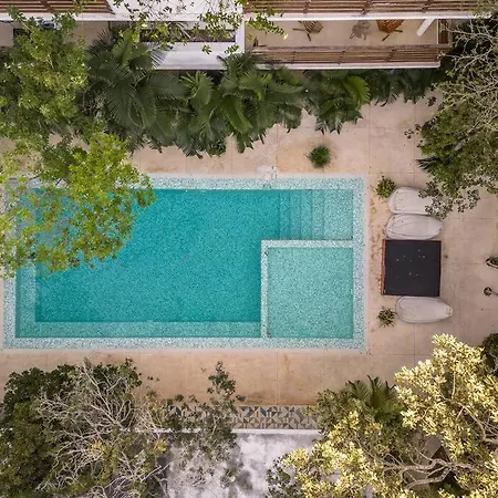 Apartment In Tulum, Pool, Jacuzzi, 3 Beds Tulum
