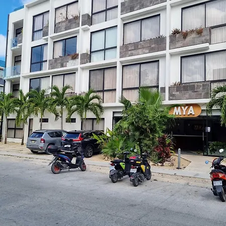 Umbral Estudio 305 Wifi Rapido Oasis En La Selva Apartment