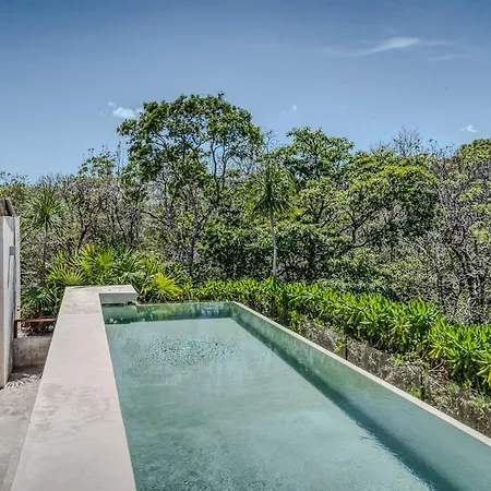 Exclusive 1br In Jungle Private Pool Apartment Tulum
