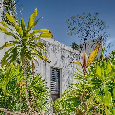 Exclusive 1br In Jungle Private Pool Tulum