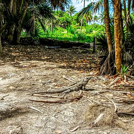 Casa Xila Torre Jungla Ph 404 Tulum