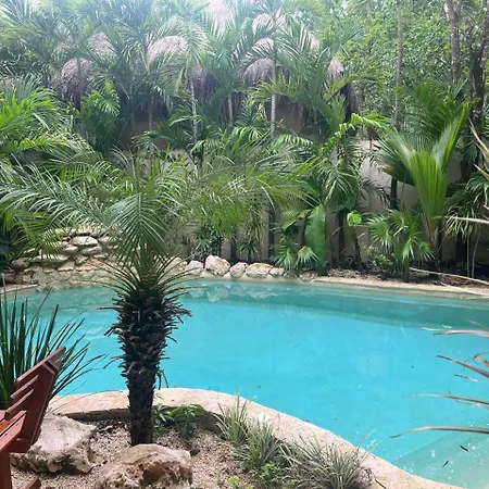 Ikal Oasis 1-bdr Priv Plunge Pool Apartment