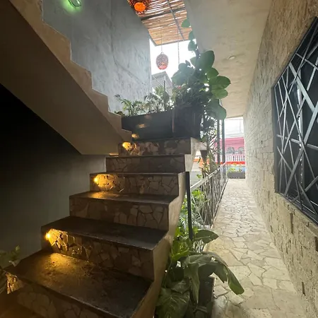 Apartment Jr 1habitacion