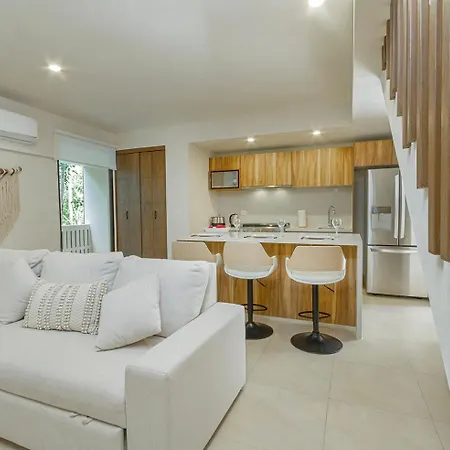 Tao Edena Exclusivos Departamentos Ph3 Y G6 Con Piscina Tulum