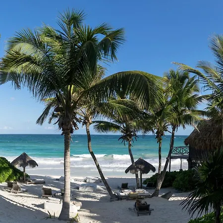 Luv Tulum